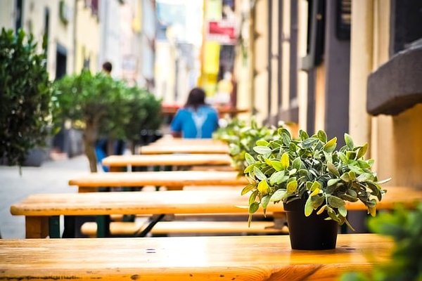 Qu'est-ce que le végétarisme et pourquoi le pratiquer ?